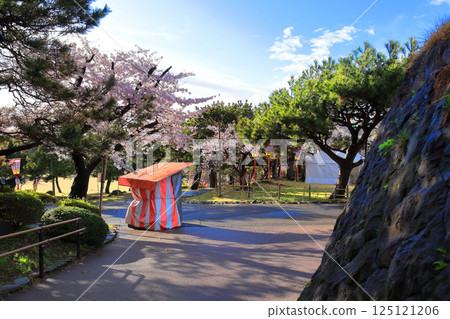 日和山公園坂田日和山櫻花節 125121206