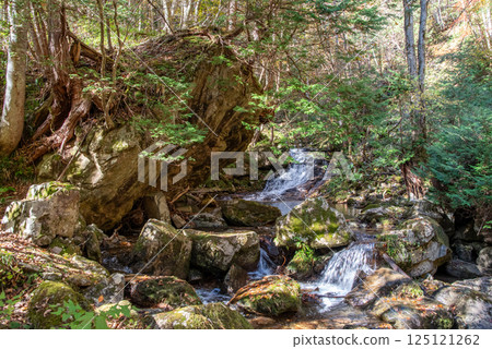 岐阜縣清見町「大倉瀑布長廊與羽衣瀑布」的紅葉季 125121262