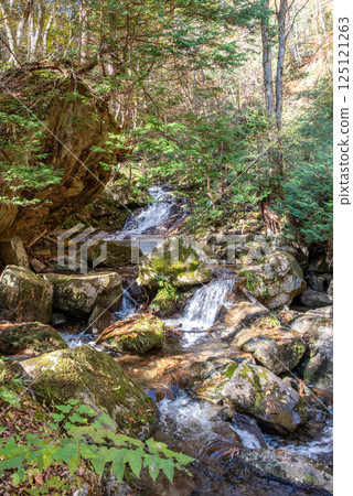 岐阜縣清見町「大倉瀑布長廊與羽衣瀑布」的紅葉季 125121263