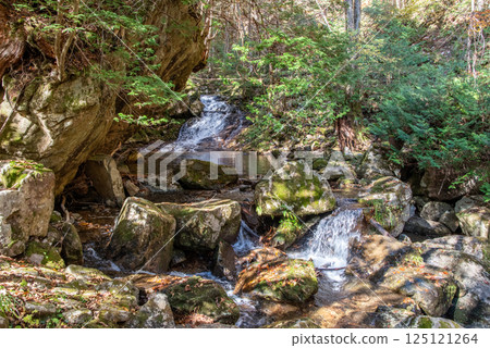 岐阜縣清見町「大倉瀑布長廊與羽衣瀑布」的紅葉季 125121264