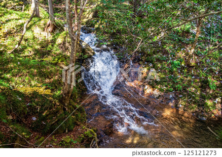 Autumn foliage season at "Okura Falls Promenade and Hagoromo Falls" in Kiyomi Town, Gifu Prefecture 125121273