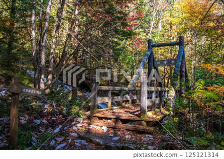 紅葉季節的岐阜縣清見町“大倉瀑布散步道與川治橋” 紅葉季節的岐阜縣清見町“大倉瀑布散步道與川治橋” 125121314