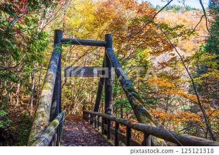 紅葉季節的岐阜縣清見町“大倉瀑布散步道與川治橋” 125121318