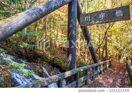 紅葉季節的岐阜縣清見町“大倉瀑布散步道與川治橋” 125121319