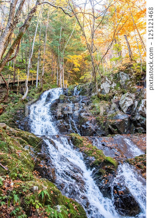 紅葉季節的岐阜縣清見町“大倉瀑布散步道和鳥龍門瀑布” 125121468