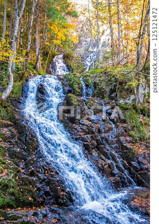 "Okura Falls Promenade and Toryumon Falls" in Kiyomi Town, Gifu Prefecture during the autumn foliage season 125121472