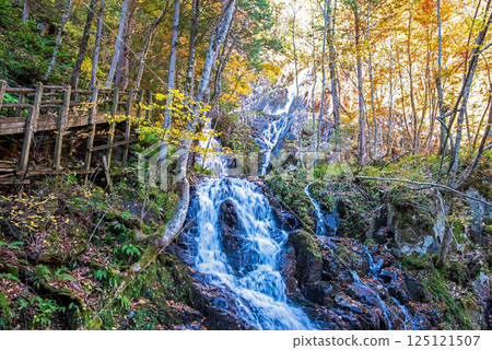 紅葉季節的岐阜縣清見町“大倉瀑布散步道和鳥龍門瀑布” 125121507