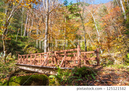 "Okura Falls Promenade and Gyoja Bridge" in Kiyomi Town, Gifu Prefecture during the autumn foliage season "Okura Falls Promenade and Gyoja Bridge" in Kiyomi Town, Gifu Prefecture during the autumn foliage season 125121582