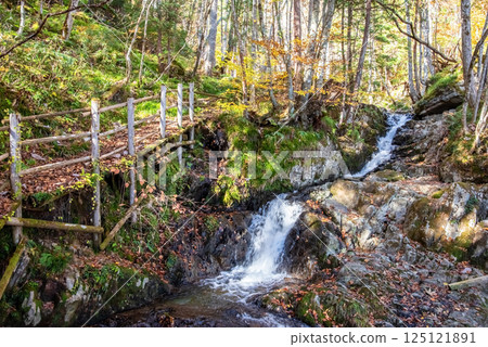 The Okura Falls Promenade during the autumn foliage season. A waterfall just downstream of the Okura Falls. Kiyomi Town, Gifu Prefecture The Okura Falls Promenade during the autumn foliage season. A waterfall just downstream of the Okura Falls. Kiyomi Town, Gifu Prefecture 125121891