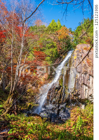 Okura Falls and Forest Park Okura Falls (Gifu Prefecture, Takayama City, Kiyomi Town) 125121986