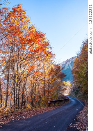 Beautiful autumn foliage along the Okura Falls Promenade, Kiyomi Town, Gifu Prefecture 125122231