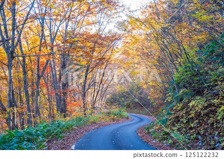 Beautiful autumn foliage along the Okura Falls Promenade, Kiyomi Town, Gifu Prefecture 125122232