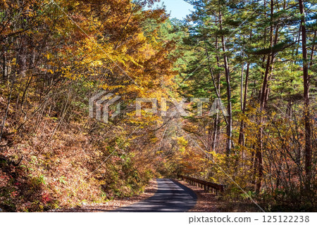 Beautiful autumn foliage along the Okura Falls Promenade, Kiyomi Town, Gifu Prefecture Beautiful autumn foliage along the Okura Falls Promenade, Kiyomi Town, Gifu Prefecture 125122238