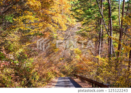岐阜縣清見町大倉瀑布步道的秋葉美麗 125122243