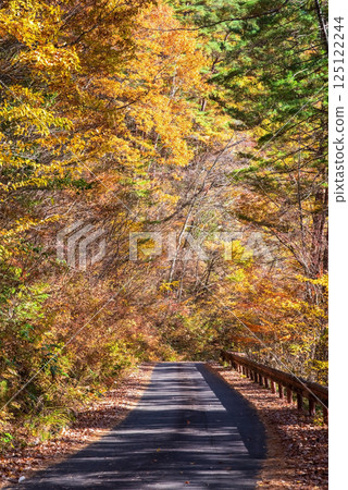 岐阜縣清見町大倉瀑布步道的秋葉美麗 125122244