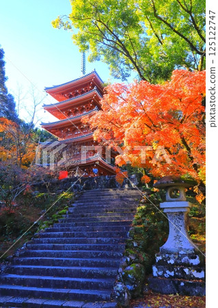Chikurinji five-storied pagoda in autumn (Shikoku Sacred Site No. 31 Fudasho, Kochi City, vertical composition) Chikurinji five-storied pagoda in autumn (Shikoku Sacred Site No. 31 Fudasho, Kochi City, vertical composition) 125122747