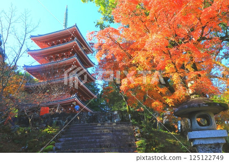 秋天的竹林寺五層塔（高知市四國聖地不動莊31號） 125122749