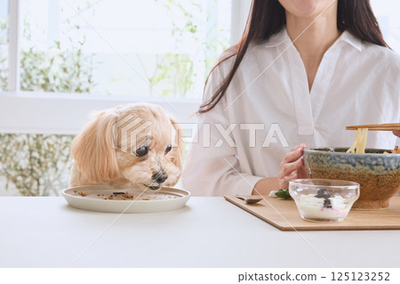A woman enjoying a meal with her dog 125123252