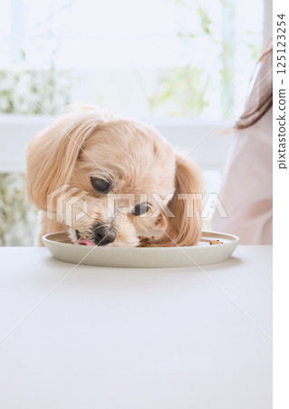 狗狗和主人一起享受美食 125123254