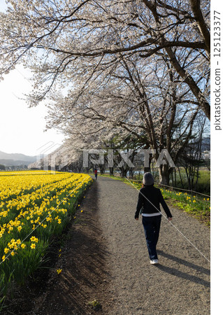 Spring Iwai Water Park, Higashiagatsuma Town, Gunma Prefecture Spring Iwai Water Park, Higashiagatsuma Town, Gunma Prefecture 125123377