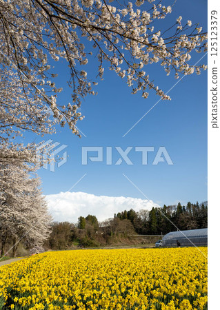 Spring Iwai Water Park, Higashiagatsuma Town, Gunma Prefecture Spring Iwai Water Park, Higashiagatsuma Town, Gunma Prefecture 125123379