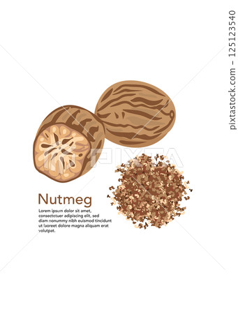 Dried seeds of fragrant nutmeg and grated nutmeg stock illustration 125123540
