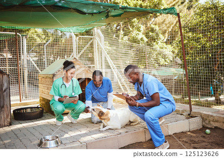 Dog, animal hospital and nurse vet care of healthcare people outdoor with patient data. Puppy doctor, nursing vet and veterinary staff with diversity checking dogs and pets at a consulting clinic 125123626