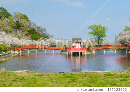 [Mobara City, Chiba Prefecture] Mobara Park (Lake Benten) and cherry blossoms in spring 125123632