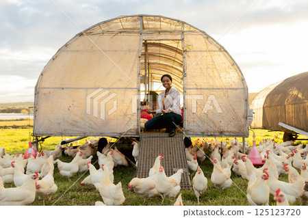 Chicken farming, woman and organic coop on at farm, field or outdoor for meat, food and free range. Black woman, farmer and poultry agriculture with birds, barn and nature ecology with sustainability 125123720