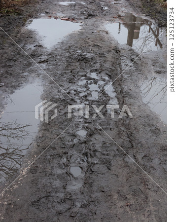 Dirt road with mud and puddles Dirt road with mud and puddles 125123734