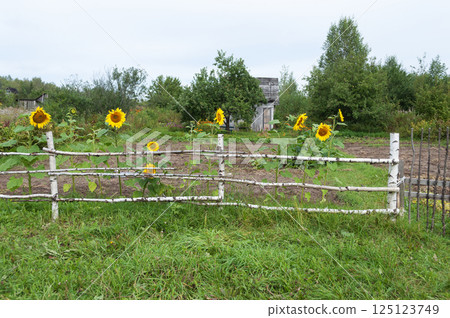 Small country house with vegetable garden Small country house with vegetable garden 125123749