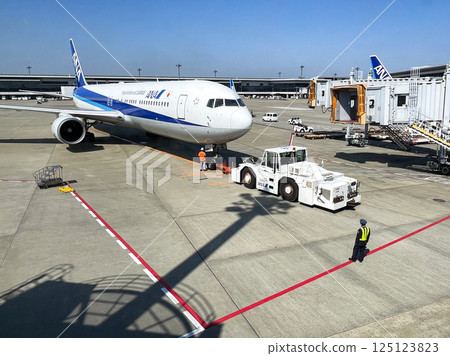 全日空波音767從成田機場起飛 全日空波音767從成田機場起飛 125123823