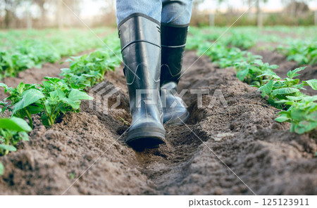 Farm, shoes and feet of a farmer walking through an agriculture garden for harvest and sustainability. Agro, countryside and gardener foot in boots walk through field and soil in nature 125123911
