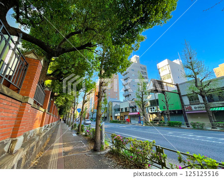 東京都本鄉市東京大學正門前的本鄉通 東京都本鄉市東京大學正門前的本鄉通 125125516