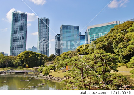 濱離宮恩賜庭園和汐留的建築（東京） 125125526