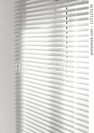 The window is covered with white blinds 125125576