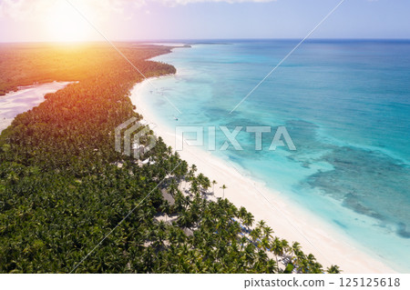 Aerial view on tropical island with coconut palm trees and turquoise caribbean sea Aerial view on tropical island with coconut palm trees and turquoise caribbean sea 125125618
