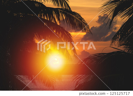 Sunset through palm tree leaf silhouette. Tropical destination. Summer holidays 125125717