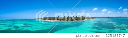 Wild tropical beach with coconut palm trees and turquoise caribbean sea. Travel destination. Aerial view. 125125747