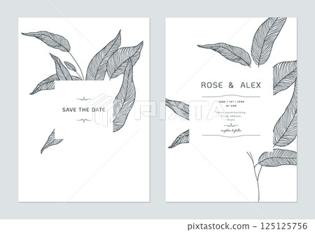 Wedding invitation card template design, eucalyptus leaves line art ink drawing on white Wedding invitation card template design, eucalyptus leaves line art ink drawing on white 125125756