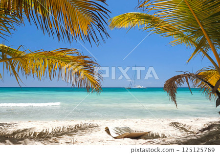 Beach scene with sunbed  under coconut palm trees close to Caribbean sea coastline. Tropical paradise 125125769