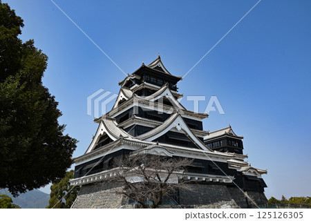 熊本城堡城堡塔 125126305