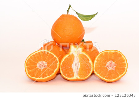 大分縣的凸輪芋 125126343