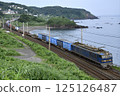 EF510 freight train running along the coast 125126487