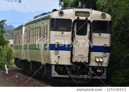 JR Kyushu JNR type diesel railcar 125126511