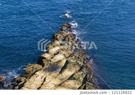 台灣野柳風景區岩石海岸/台灣野柳地質公園 125126822