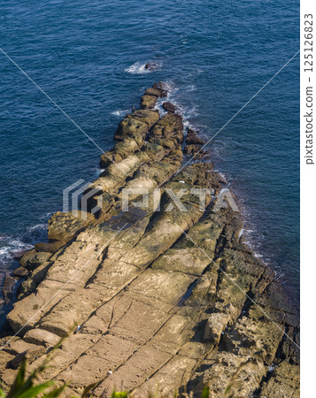 台灣野柳地質公園岩石海岸 / 台灣野柳地質公園 125126823