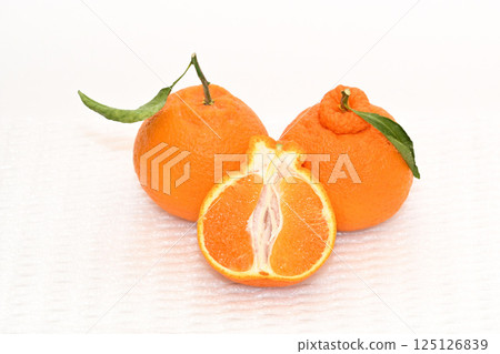 大分縣的凸輪芋 125126839