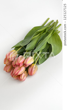 Delicate bouquet of pink and yellow tulips on a white background 125127125