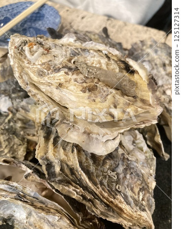 Fresh oysters Steamed oysters 125127314